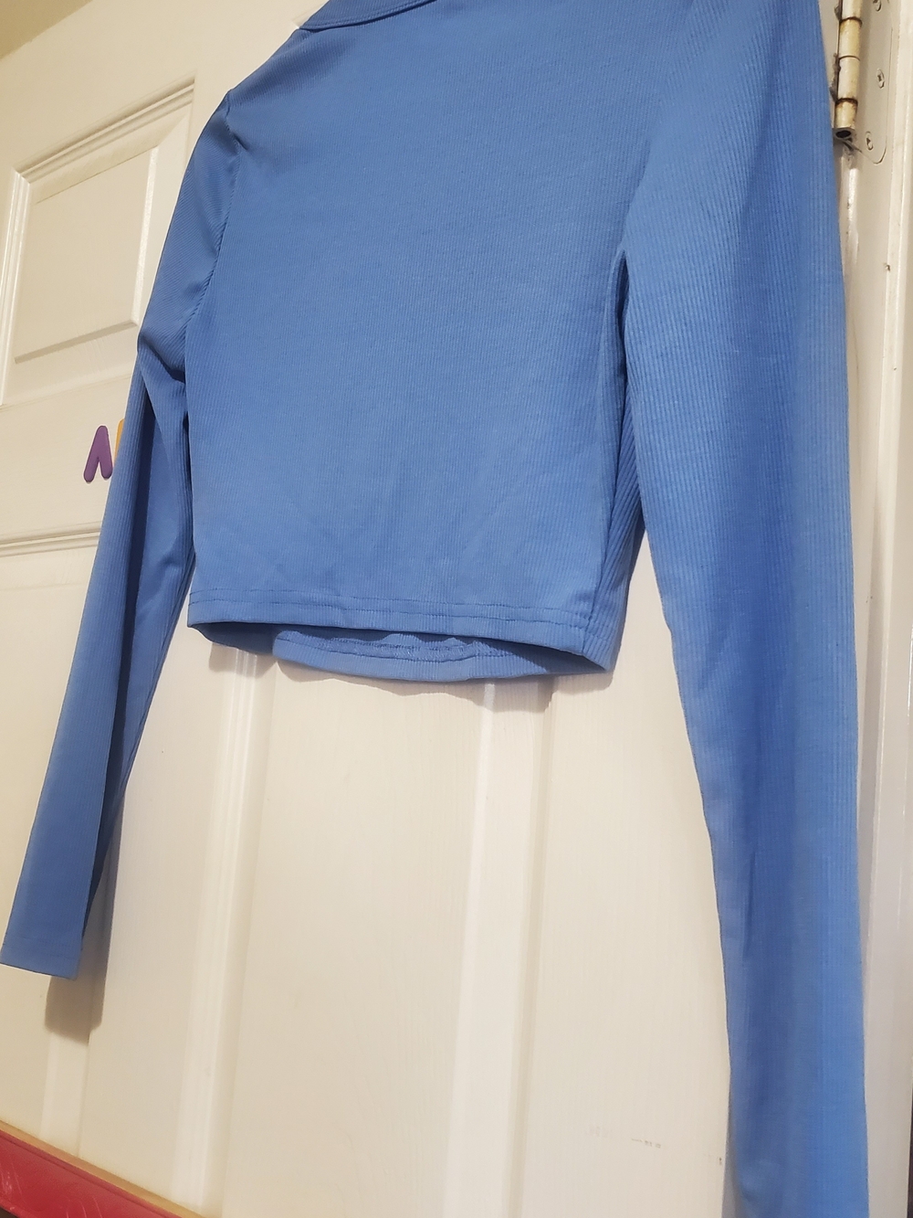 Women's Long Sleeve Crop Top - Blue